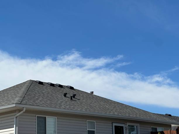 Best Chimney Flashing Repair  in Mounds View, MN